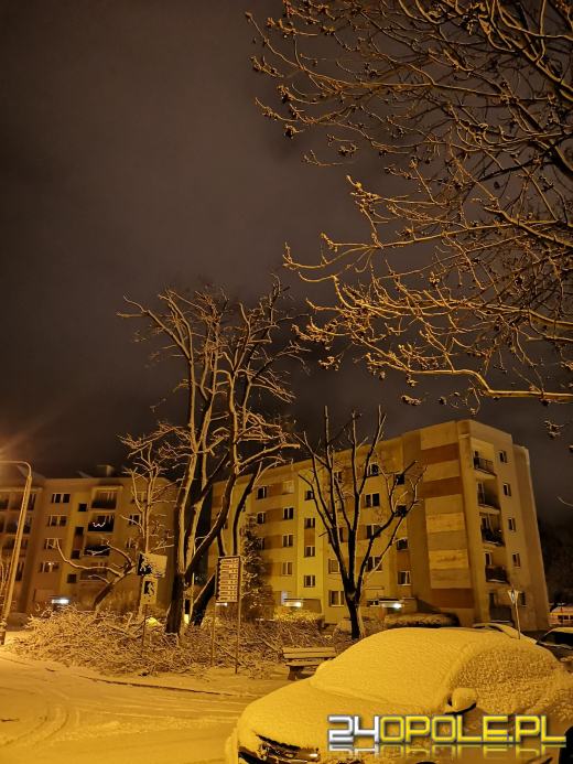 Zima w obiektywie naszych czytelników