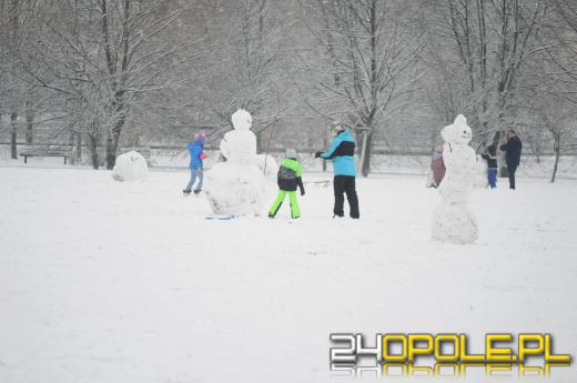 Dzieci doczekały się zimy! Park AK pełen śnieżnych bałwanów