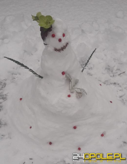Opolanie ulepili dziesiątki bałwanów ze śniegu