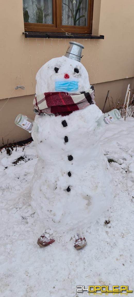 Opolanie ulepili dziesiątki bałwanów ze śniegu