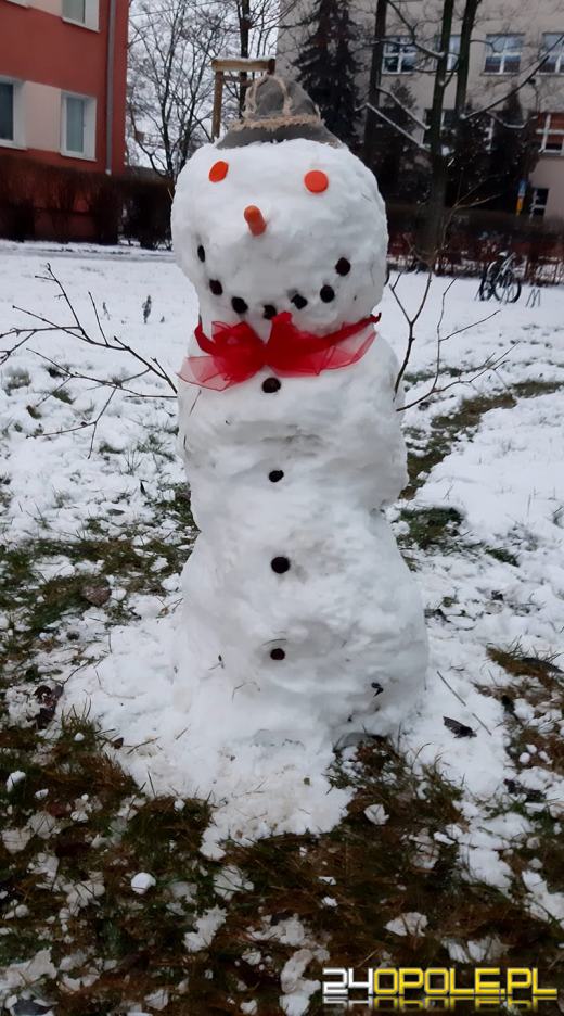 Opolanie ulepili dziesiątki bałwanów ze śniegu