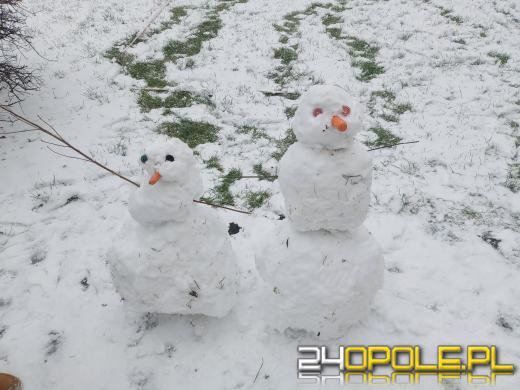 Opolanie ulepili dziesiątki bałwanów ze śniegu