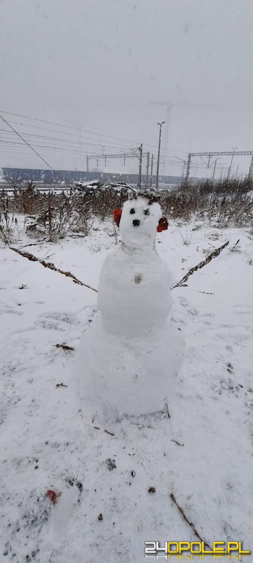 Opolanie ulepili dziesiątki bałwanów ze śniegu