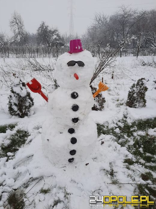 Opolanie ulepili dziesiątki bałwanów ze śniegu