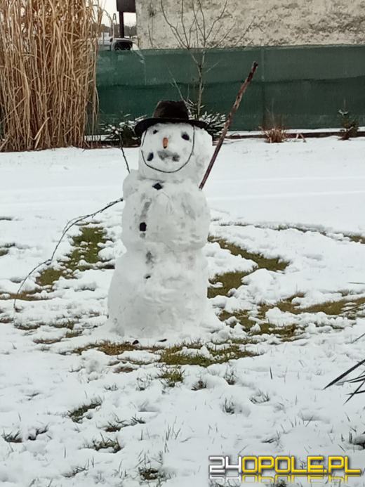 Opolanie ulepili dziesiątki bałwanów ze śniegu