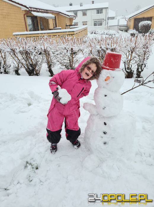Opolanie ulepili dziesiątki bałwanów ze śniegu