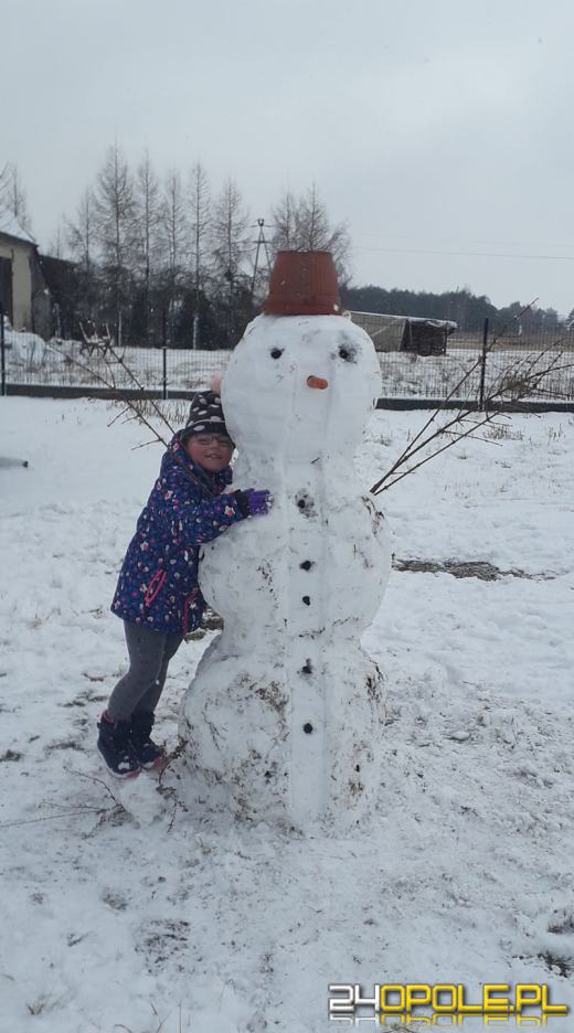 Opolanie ulepili dziesiątki bałwanów ze śniegu