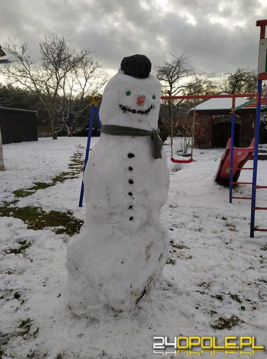 Opolanie ulepili dziesiątki bałwanów ze śniegu