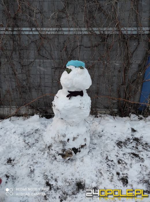 Opolanie ulepili dziesiątki bałwanów ze śniegu