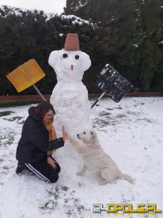 Opolanie ulepili dziesiątki bałwanów ze śniegu