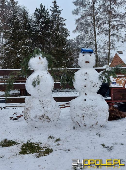 Opolanie ulepili dziesiątki bałwanów ze śniegu
