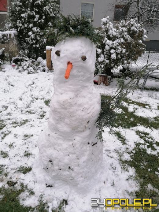 Opolanie ulepili dziesiątki bałwanów ze śniegu
