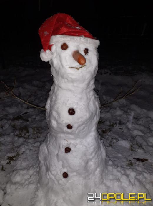 Opolanie ulepili dziesiątki bałwanów ze śniegu
