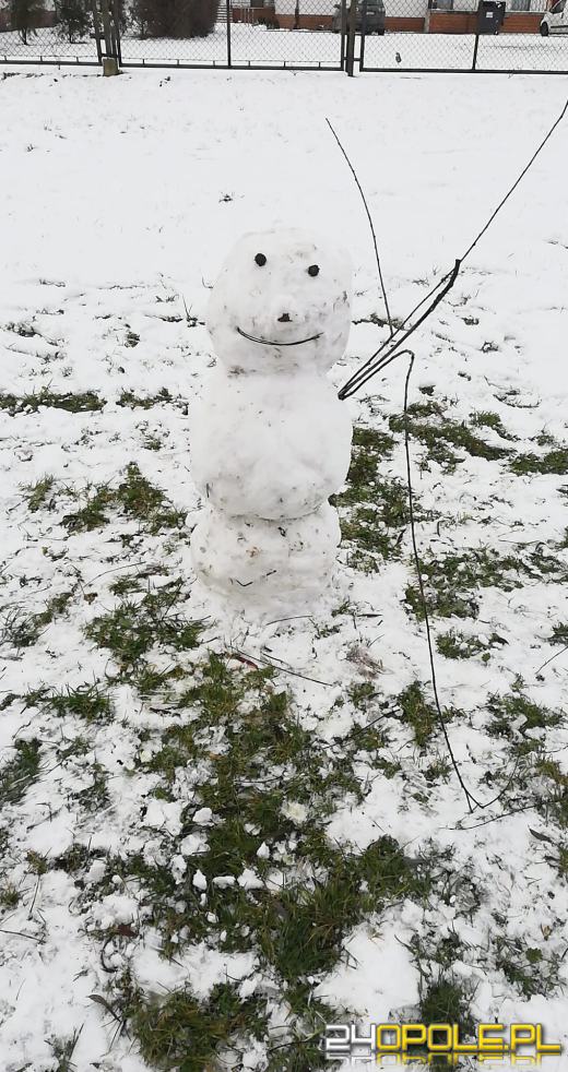 Opolanie ulepili dziesiątki bałwanów ze śniegu