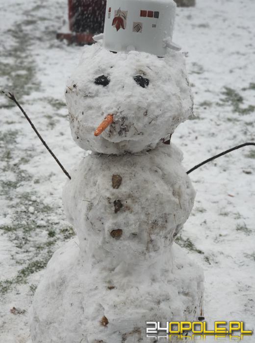 Opolanie ulepili dziesiątki bałwanów ze śniegu