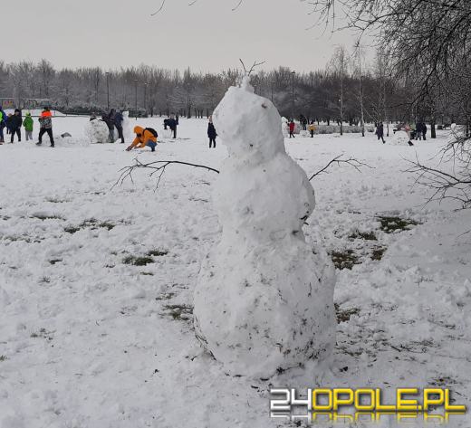 Opolanie ulepili dziesiątki bałwanów ze śniegu