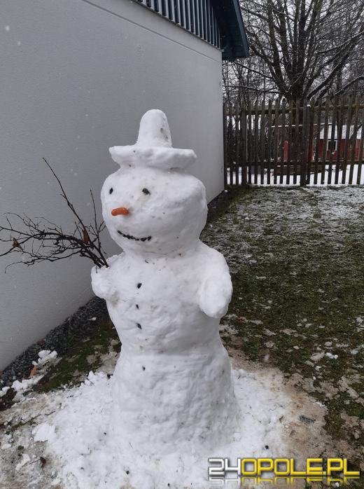 Opolanie ulepili dziesiątki bałwanów ze śniegu
