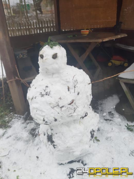 Opolanie ulepili dziesiątki bałwanów ze śniegu