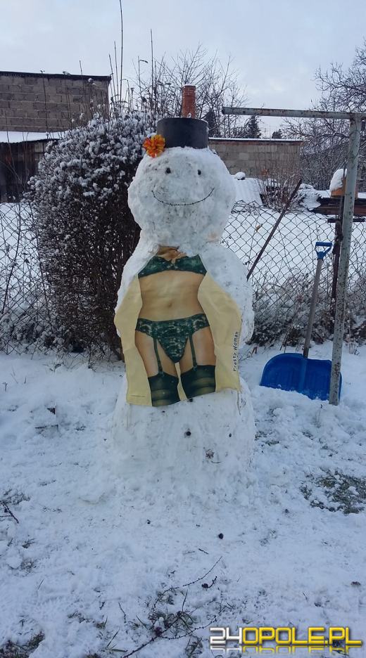Opolanie ulepili dziesiątki bałwanów ze śniegu
