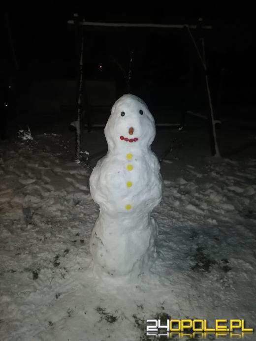 Opolanie ulepili dziesiątki bałwanów ze śniegu