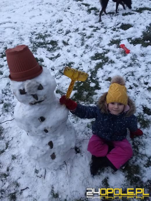 Opolanie ulepili dziesiątki bałwanów ze śniegu