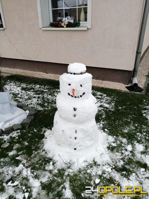 Opolanie ulepili dziesiątki bałwanów ze śniegu