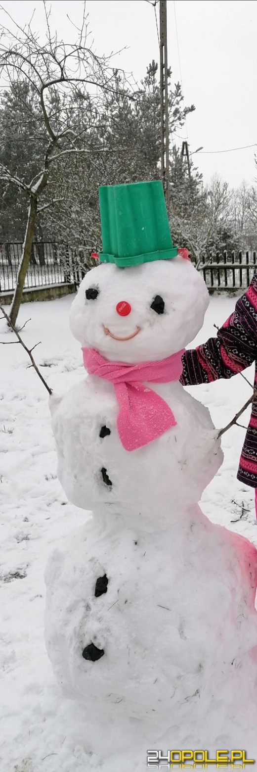 Opolanie ulepili dziesiątki bałwanów ze śniegu
