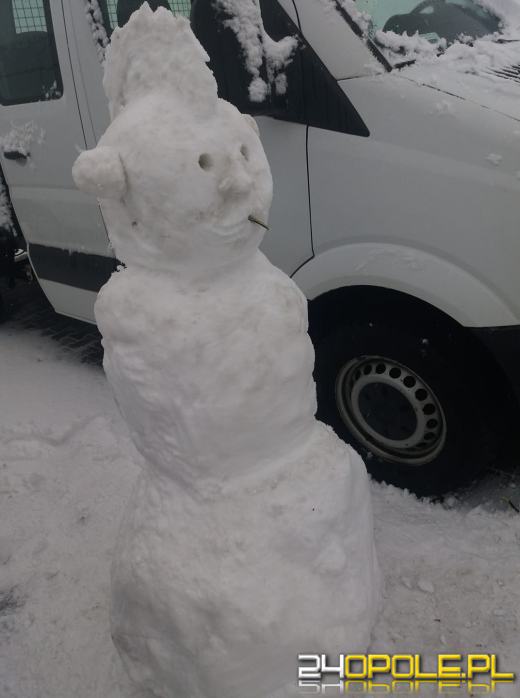 Opolanie ulepili dziesiątki bałwanów ze śniegu