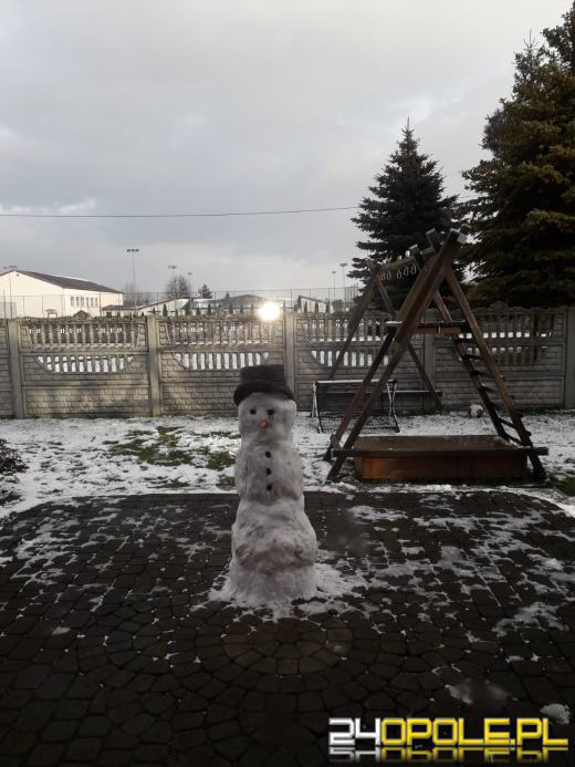 Opolanie ulepili dziesiątki bałwanów ze śniegu