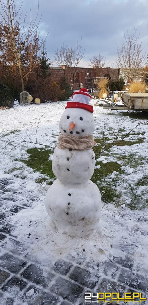 Opolanie ulepili dziesiątki bałwanów ze śniegu