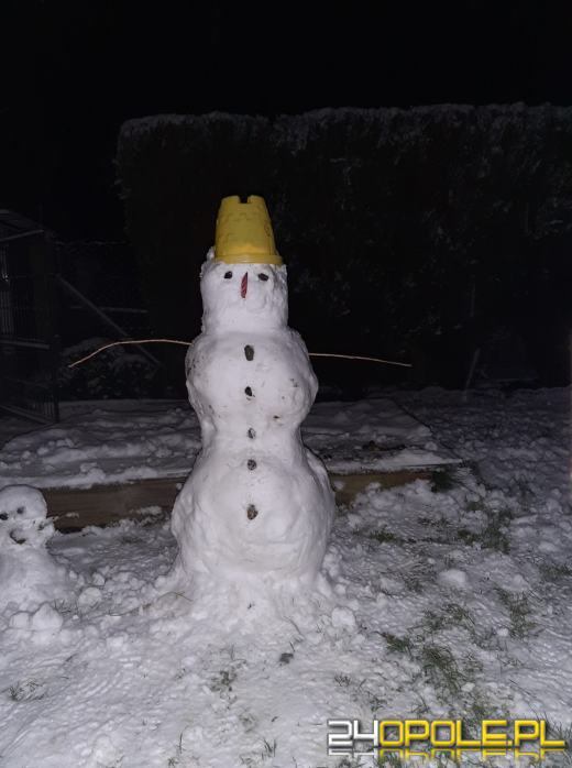 Opolanie ulepili dziesiątki bałwanów ze śniegu