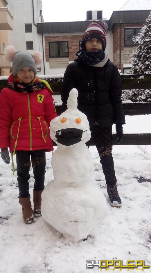 Opolanie ulepili dziesiątki bałwanów ze śniegu