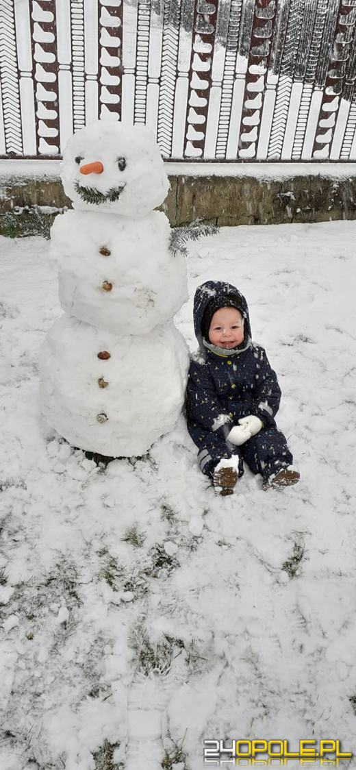Opolanie ulepili dziesiątki bałwanów ze śniegu