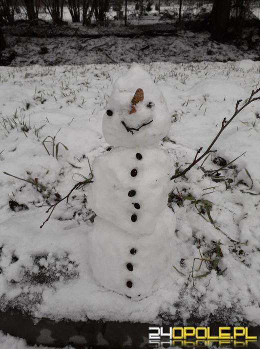 Opolanie ulepili dziesiątki bałwanów ze śniegu