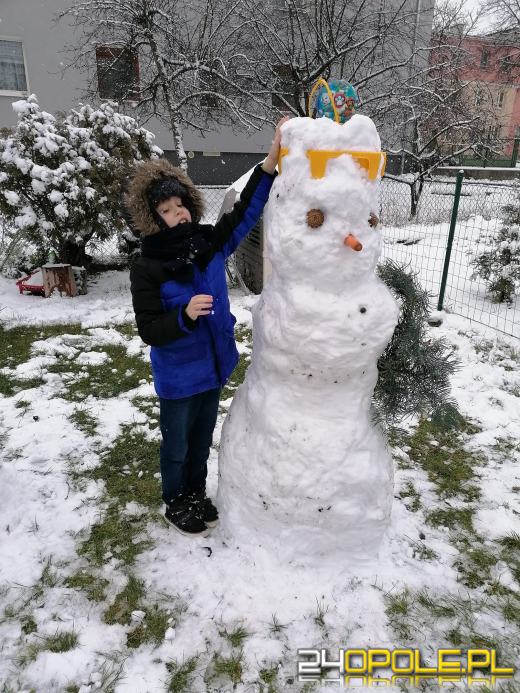 Opolanie ulepili dziesiątki bałwanów ze śniegu