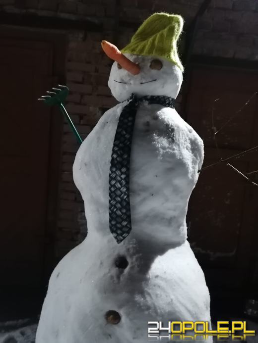 Opolanie ulepili dziesiątki bałwanów ze śniegu