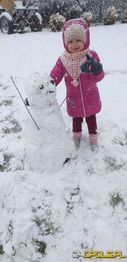 Opolanie ulepili dziesiątki bałwanów ze śniegu