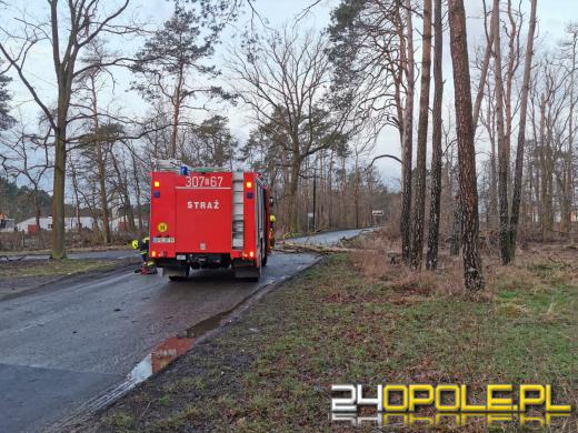 Strażacy usuwają skutki silnego wiatru na Opolszczyźnie