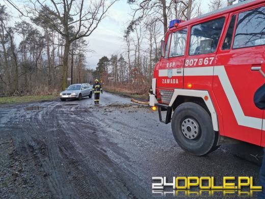 Strażacy usuwają skutki silnego wiatru na Opolszczyźnie