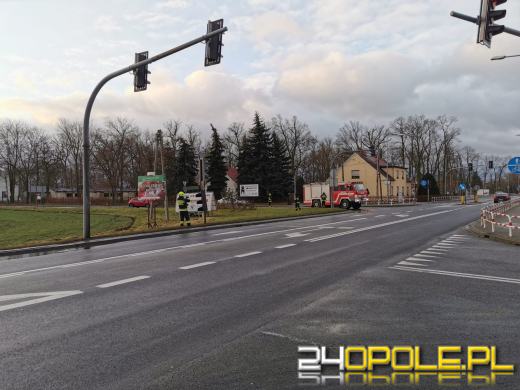 Strażacy usuwają skutki silnego wiatru na Opolszczyźnie