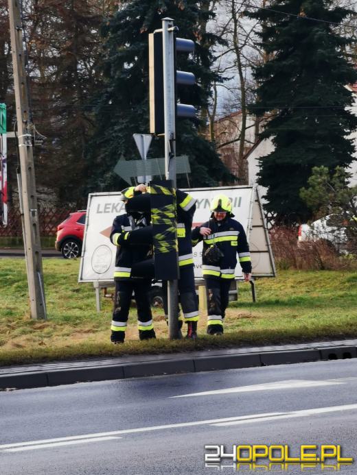 Strażacy usuwają skutki silnego wiatru na Opolszczyźnie