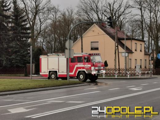 Strażacy usuwają skutki silnego wiatru na Opolszczyźnie