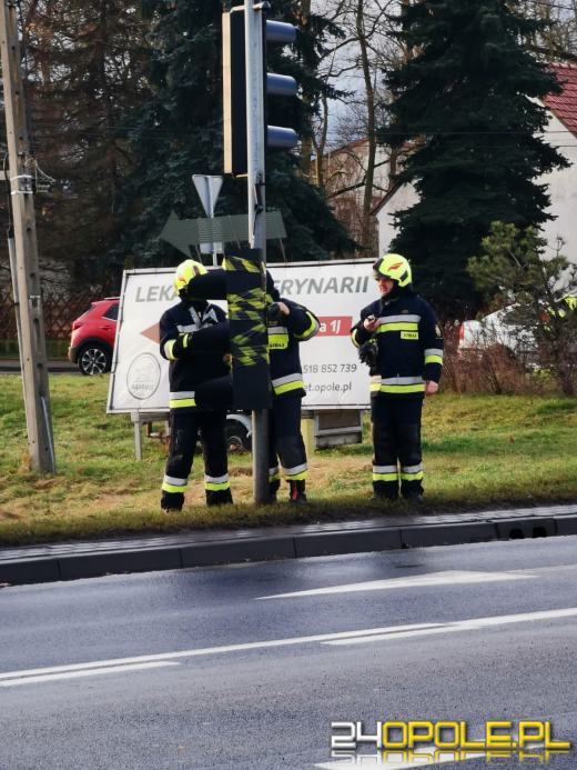 Strażacy usuwają skutki silnego wiatru na Opolszczyźnie