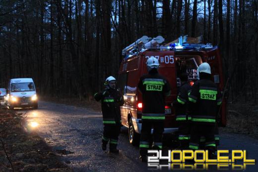 Strażacy usuwają skutki silnego wiatru na Opolszczyźnie