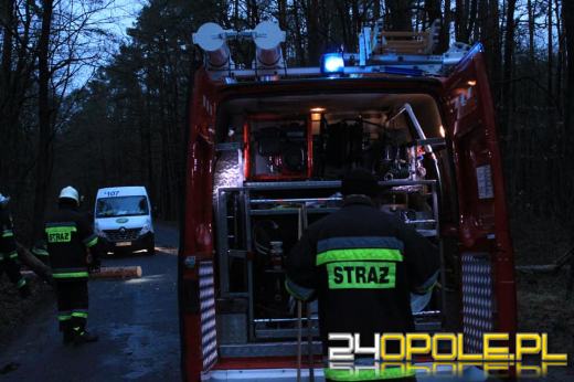 Strażacy usuwają skutki silnego wiatru na Opolszczyźnie