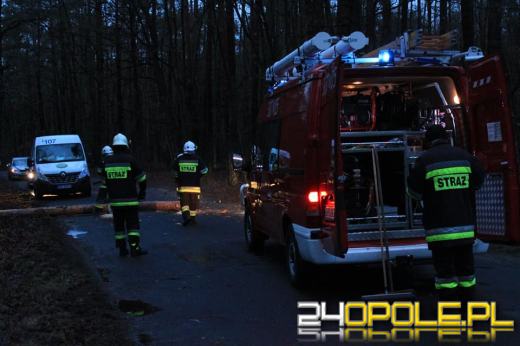 Strażacy usuwają skutki silnego wiatru na Opolszczyźnie