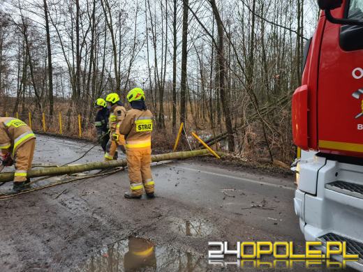 Strażacy usuwają skutki silnego wiatru na Opolszczyźnie
