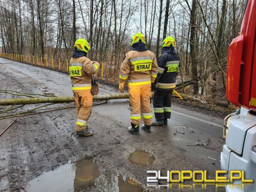 Strażacy usuwają skutki silnego wiatru na Opolszczyźnie