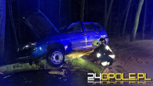 Strażacy usuwają skutki silnego wiatru na Opolszczyźnie