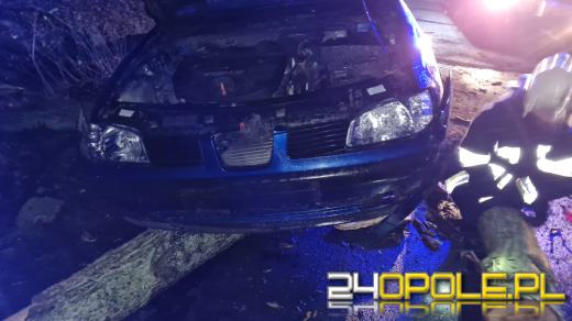 Strażacy usuwają skutki silnego wiatru na Opolszczyźnie